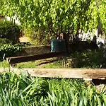 La Betulla