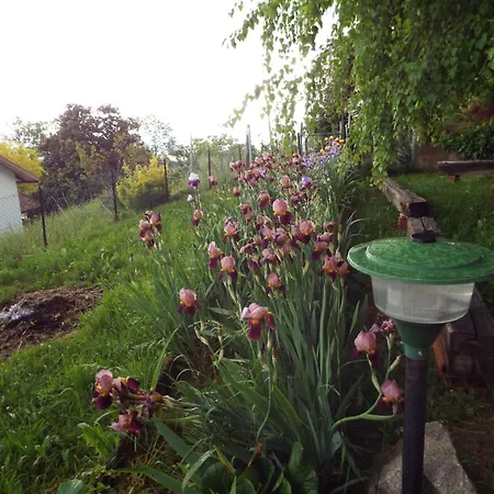 La Betulla Pettinengo