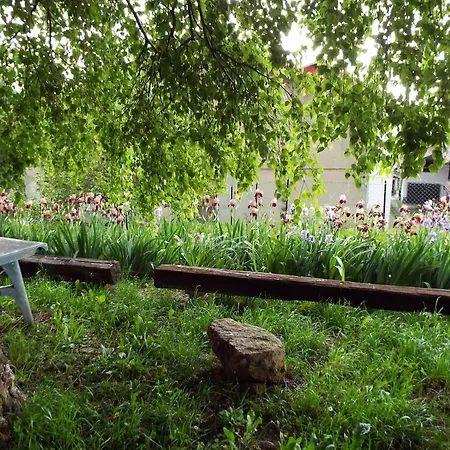 Pensionat La Betulla 3*