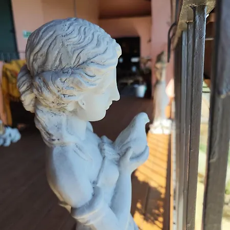 Pensionat La Betulla Pettinengo