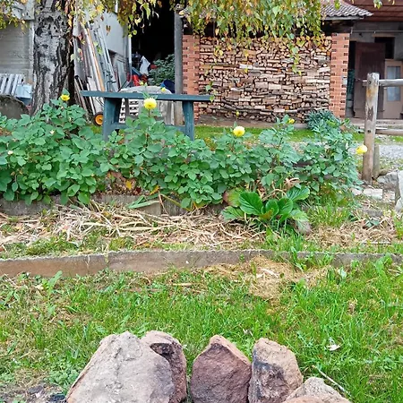 La Betulla Pettinengo