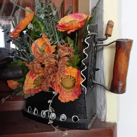 Pensionat La Betulla