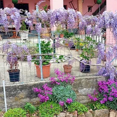 La Betulla Pettinengo