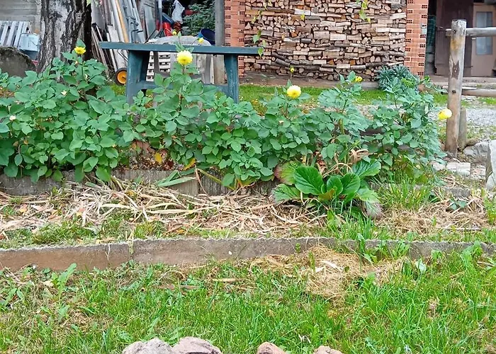 La Betulla Pettinengo