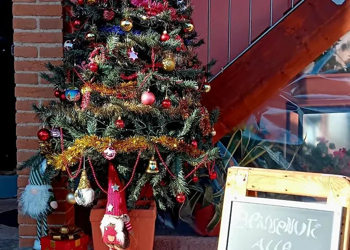 La Betulla Gæstehus Pettinengo